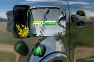Check-up Media biodiesel