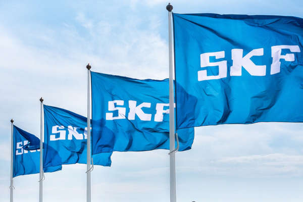 Check-up Media SKF flags