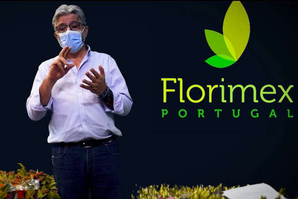 Check-up Media Soc. Com. C. Santos Florimex