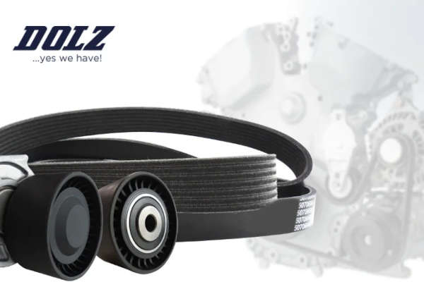 Check-up Media Dolz auxiliary belt kit