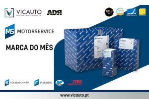 Check-up Media Vicauto MS Motorservice May