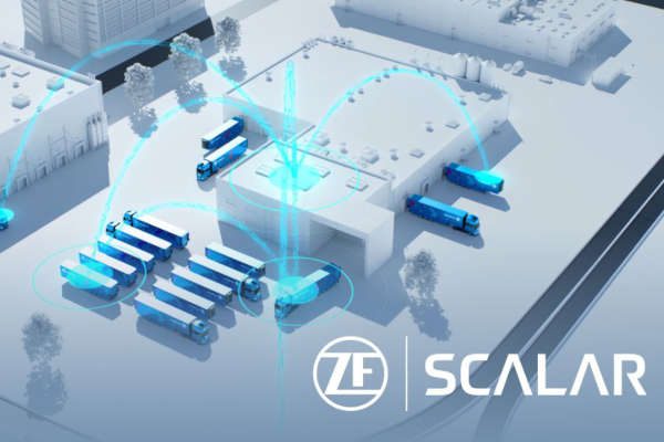 Check-up Media ZF Scalar