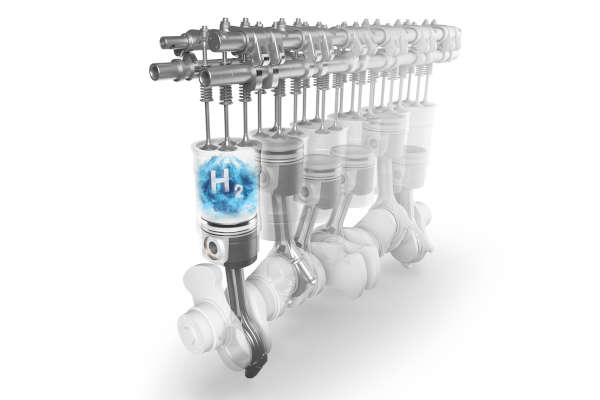 Check-up Media MAHLE IAA Transportation 2022 2