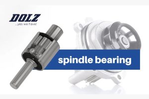 Check-up Media Dolz spindle bearing