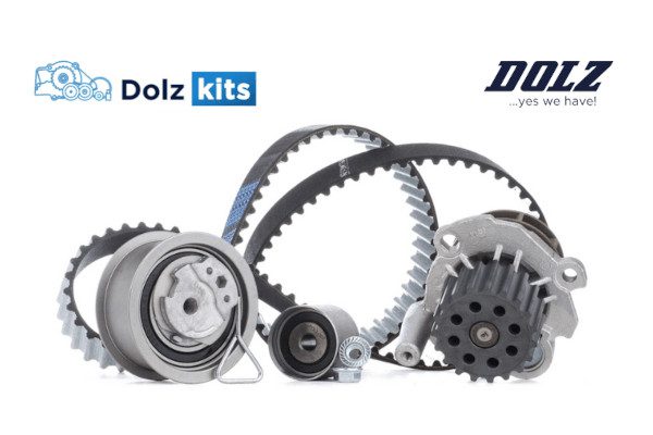 Check-up Media Dolz timing chain kits