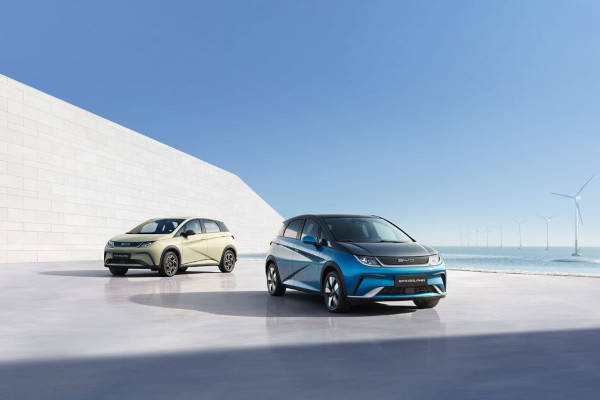 Check-up Media BYD Dolphin