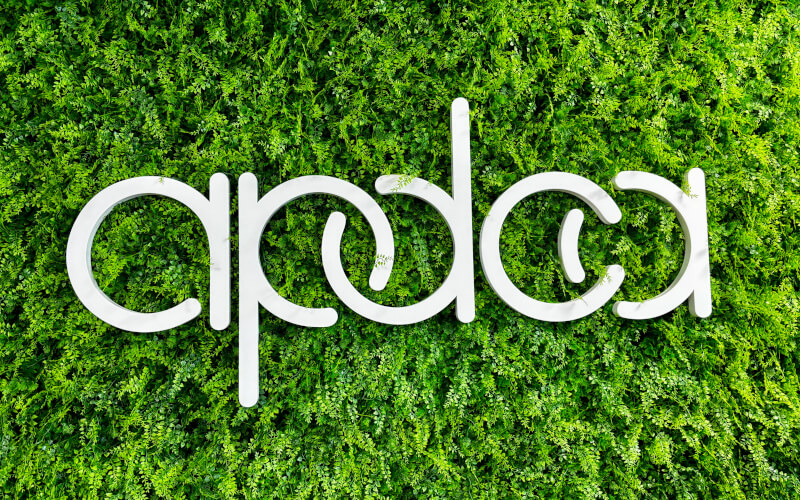 Check-up Media APDCA