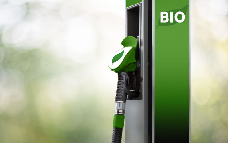 Check-up Media biofuel station