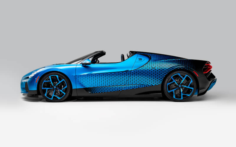 Check-up Media Bugatti W16 Mistral Fly Bug profile