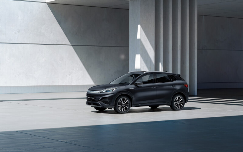 Check-up Media BYD ATOO 3 static