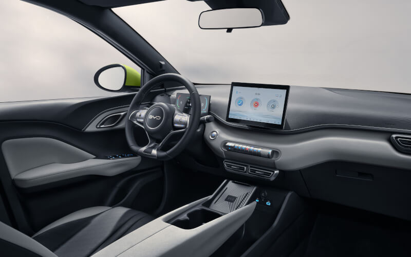 Check-up Media BYD Dolphin Surf interior