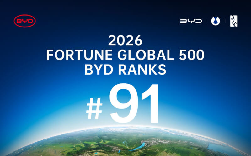 Check-up Media BYD Fortune