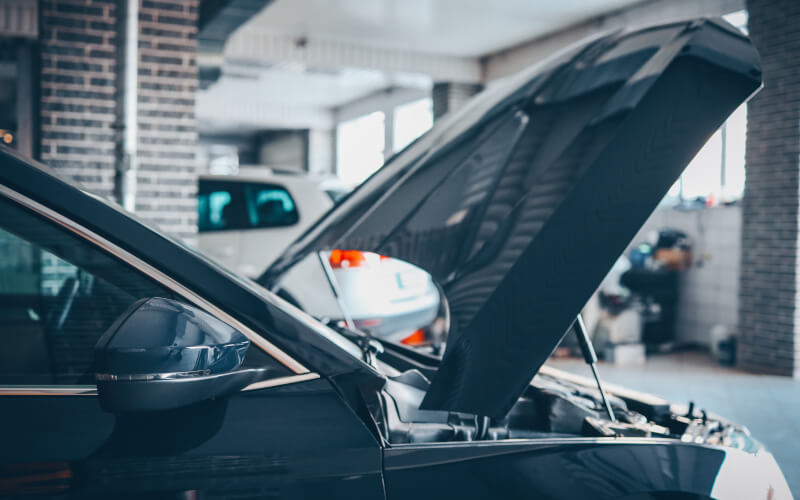 Check-up Media car bonnet 2