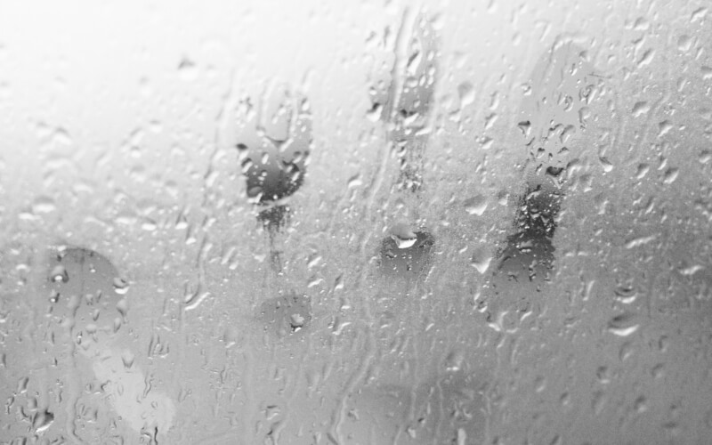 Check-up Media car window foggy