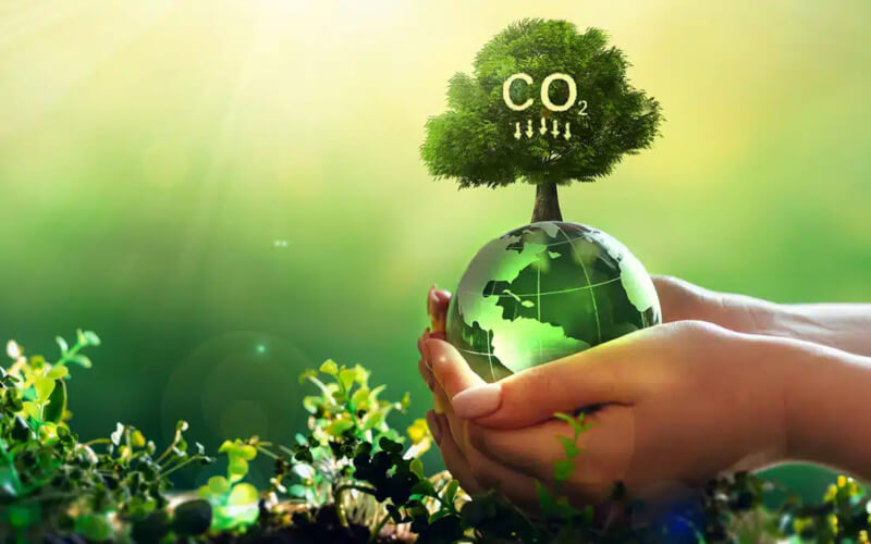 Check-up Media carbon neutral