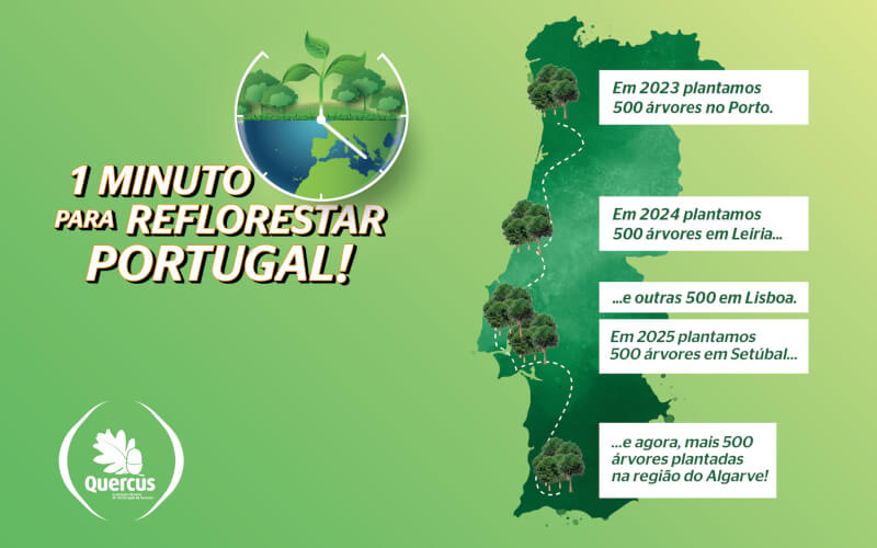 Check-up Media Continental 1 Minuto pelo Planeta 2