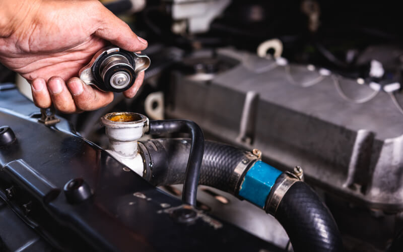 Check-up Media coolant