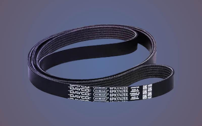 Check-up Media DAYCO ELA