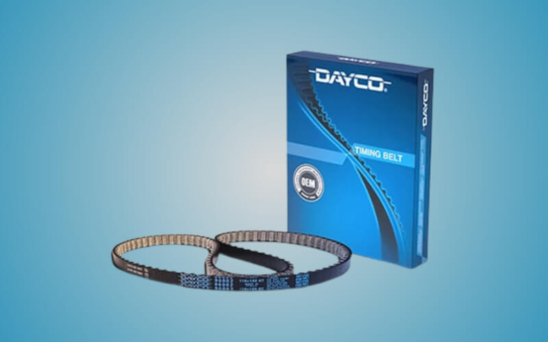 Check-up Media DAYCO TBIO