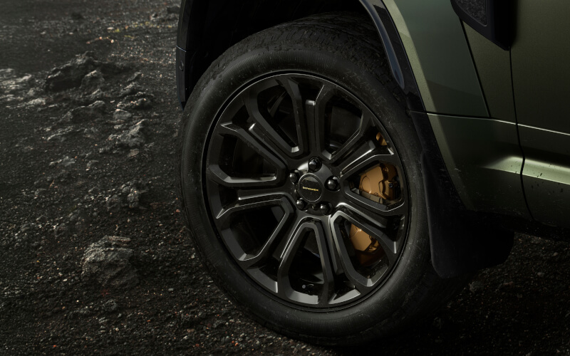 Check-up Media Defender OCTA wheel