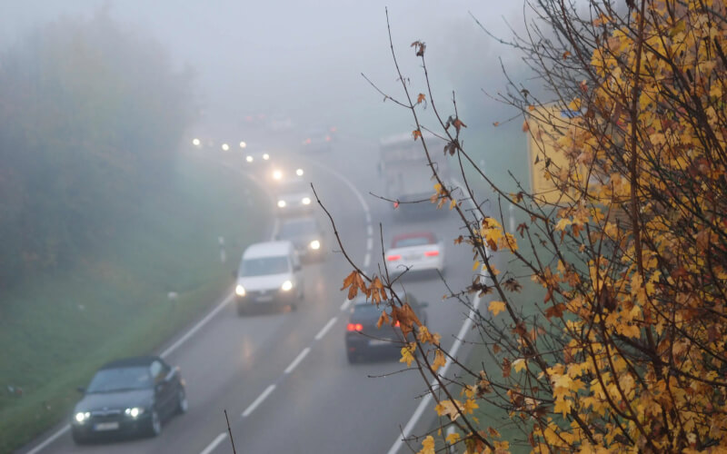 Check-up Media DEKRA fog driving