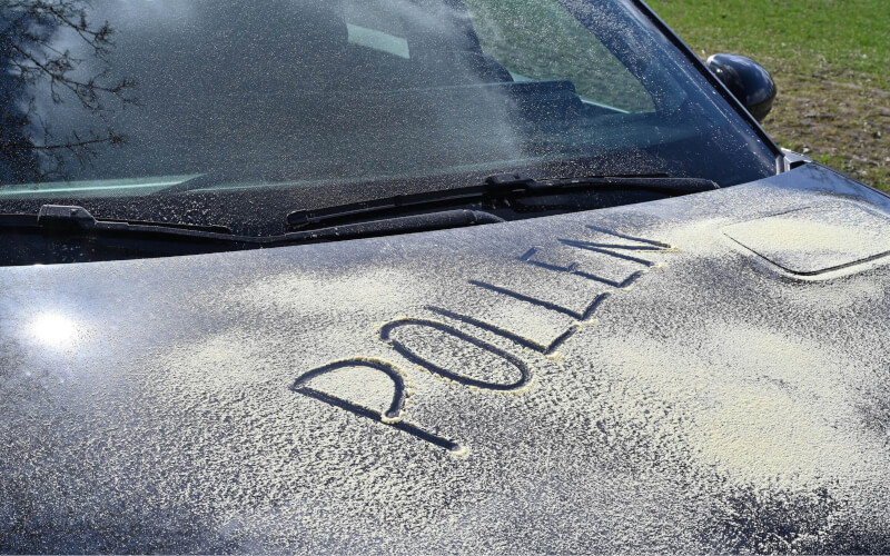 Check-up Media DEKRA pollen 2