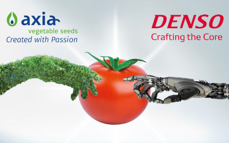 Check-up Media DENSO Axia