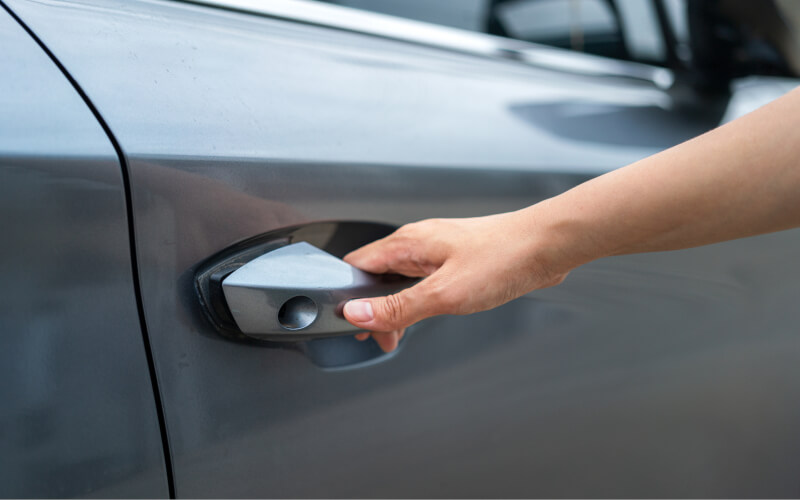 Check-up Media door handle