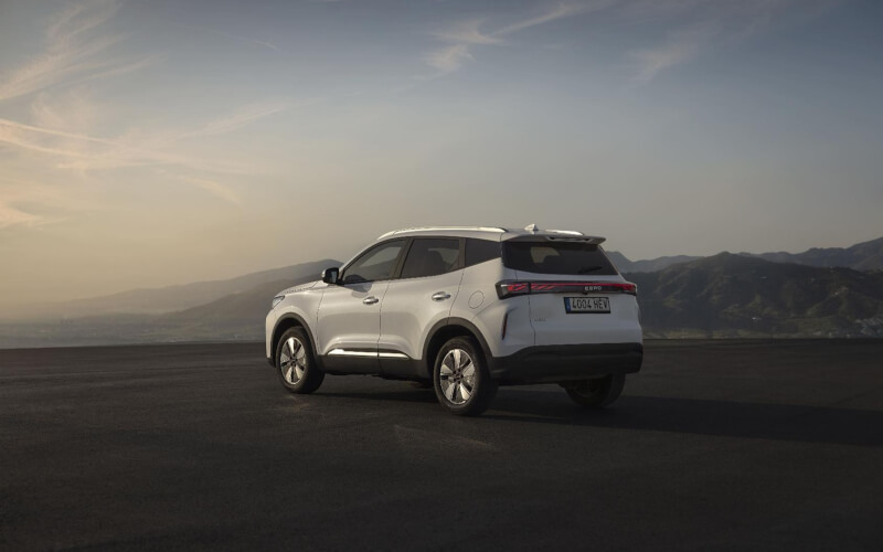 Check-up Media EBRO 2