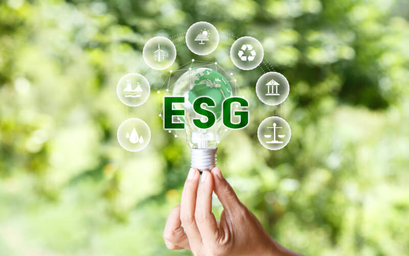 Check-up Media ESG