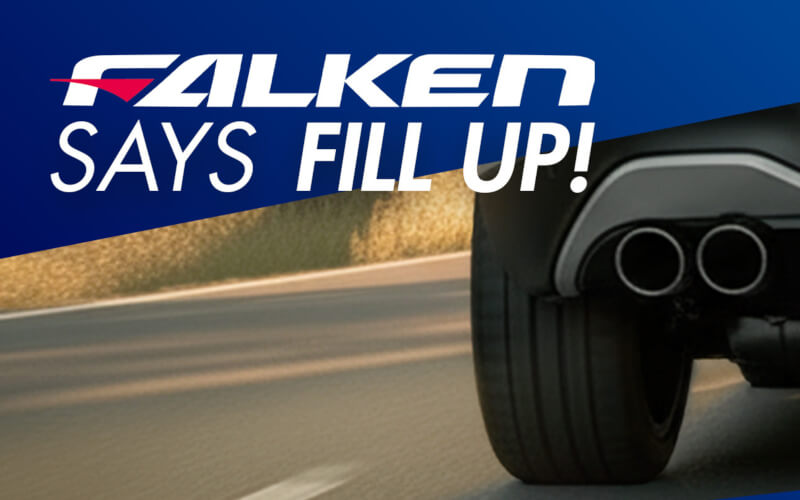 Check-up Media Falken