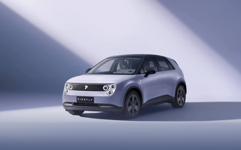 Check-up Media firefly