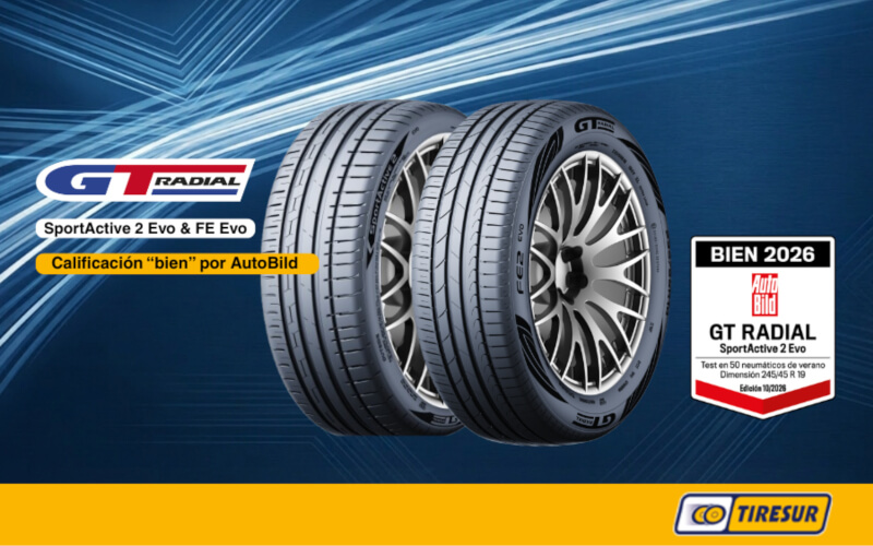 Check-up Media GT Radial