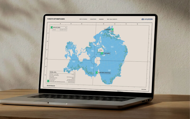 Check-up Media Hyundai Forest Without Name 2