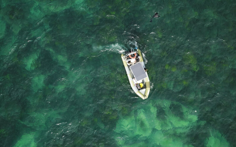 Check-up Media Hyundai Forest Without Name 3