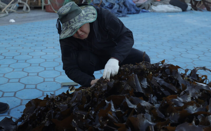 Check-up Media Hyundai Forest Without Name 4