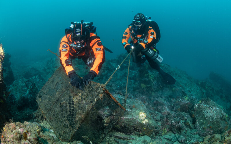 Check-up Media Hyundai Healthy Seas