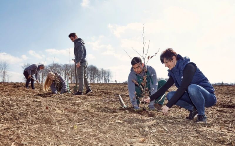 Check-up Media Hyundai IONIQ Forest
