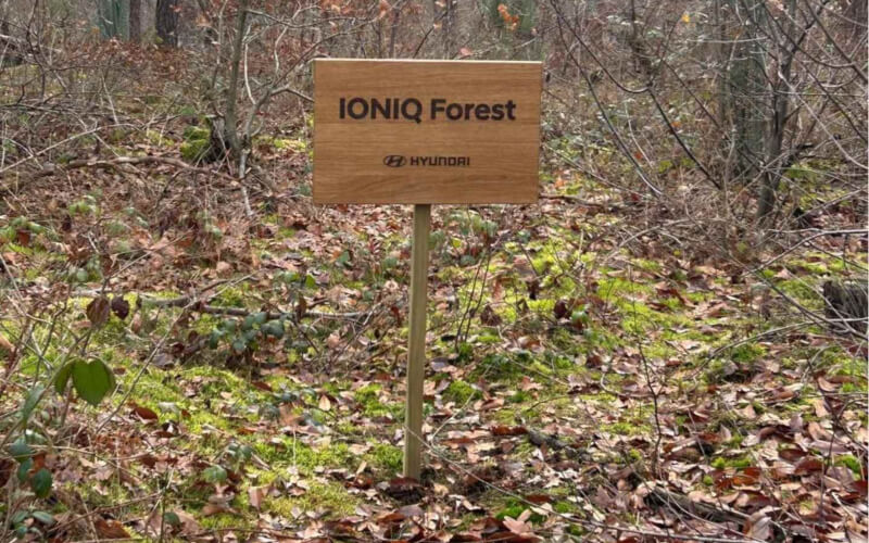 Check-up Media Hyundai IONIQ Forest 3