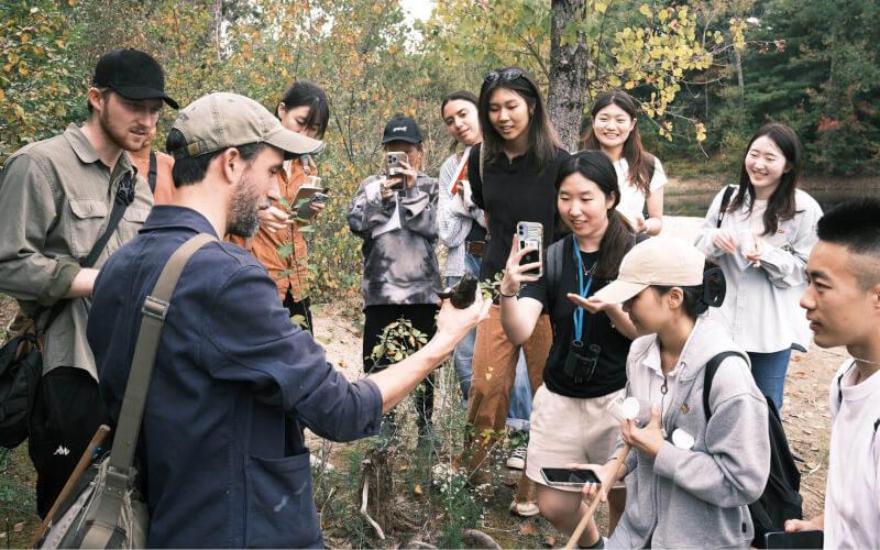 Check-up Media Hyundai RISD