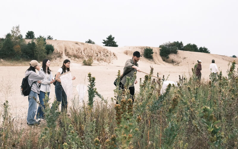 Check-up Media Hyundai RISD 3