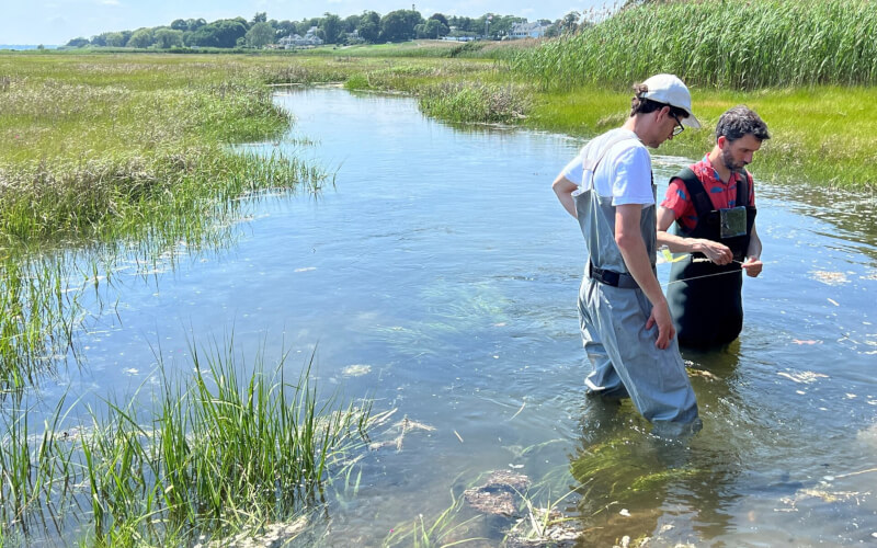 Check-up Media Hyundai RISD 4