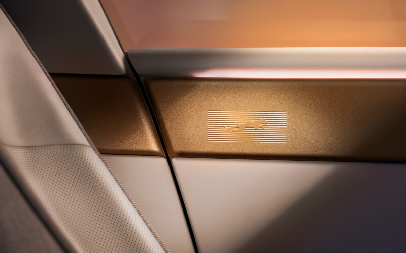 Check-up Media Jaguar Type 01 doors