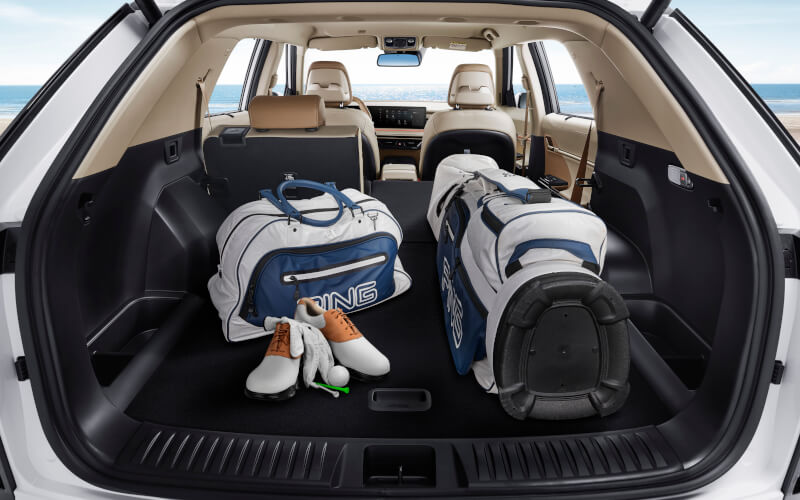 Check-up Media KGM Actyon boot