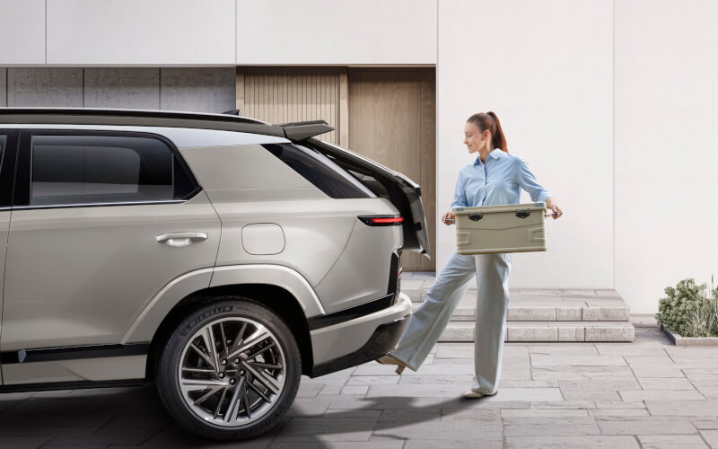 Check-up Media KGM Actyon hands free