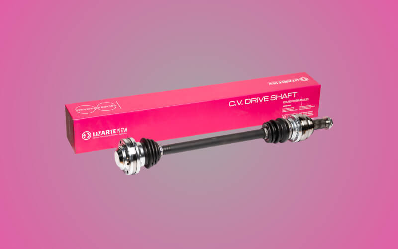 Check-up Media Lizarte NEW 2