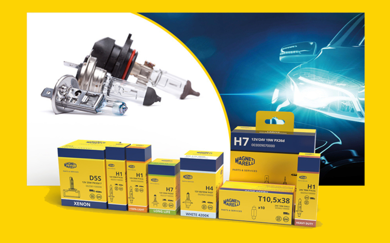 Check-up Media Magneti Marelli bulbs