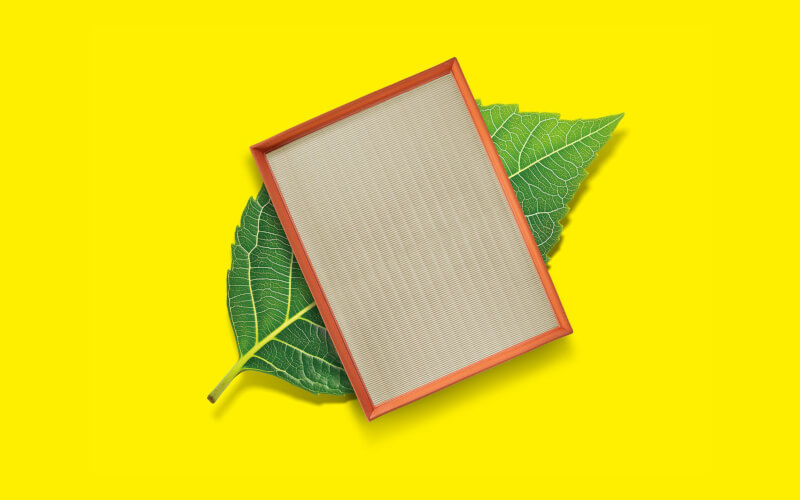 Check-up Media MANN-FILTER