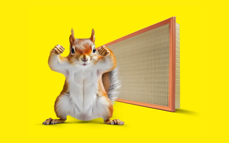 Check-up Media MANN-FILTER inspired by nature