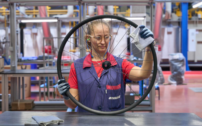 Check-up Media Mewa cleaning